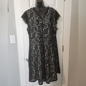 H&M Black and Cream Lace Dress